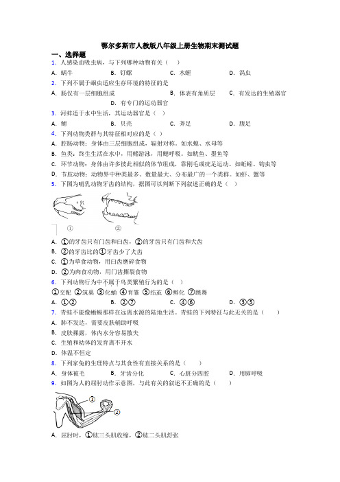 鄂尔多斯市人教版八年级上册生物期末测试题