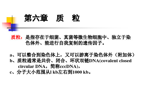 hzau微生物遗传第六章质粒