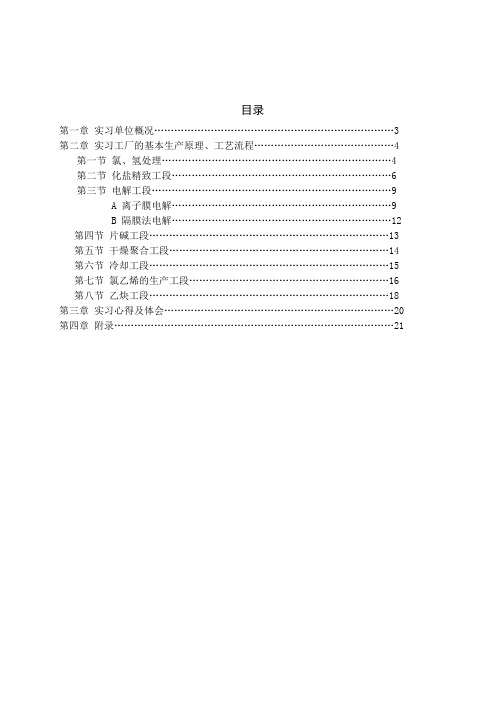 化工专业认知实习报告-中盐安徽红四方