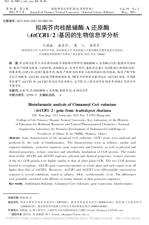 拟南芥肉桂酰辅酶A还原酶_AtCCR1_2_基因的生物信息学分析_刘晓晶