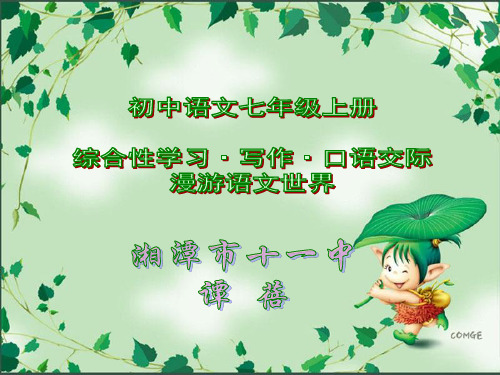 综合性学习《漫游语文世界》 (1)