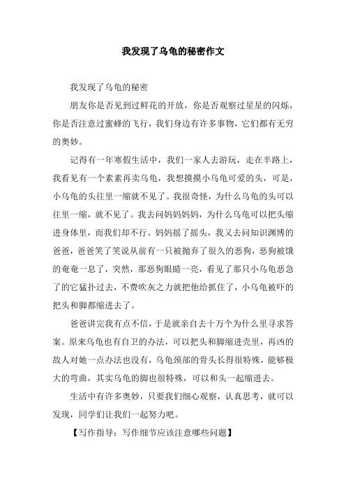 我发现了乌龟的秘密作文