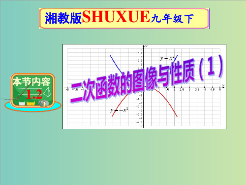 1.2二次函数的图象与性质(第1课时)课件(共13张ppt)