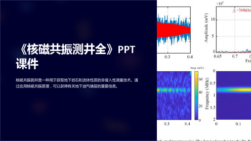 《核磁共振测井全》课件