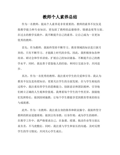 教师个人素养总结