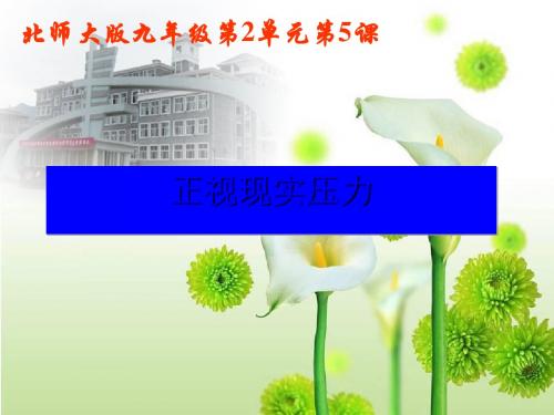 正视现实压力培训讲义(PPT28张)