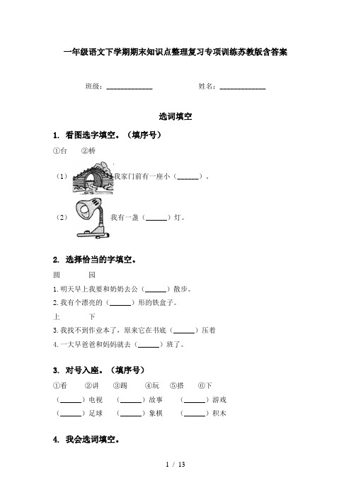 一年级语文下学期期末知识点整理复习专项训练苏教版含答案