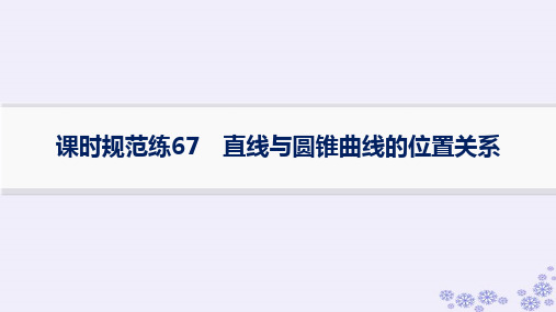 适用于新高考新教材备战2025届高考数学一轮总复习第9章平面解析几何课时规范练67直线与圆锥曲线的位