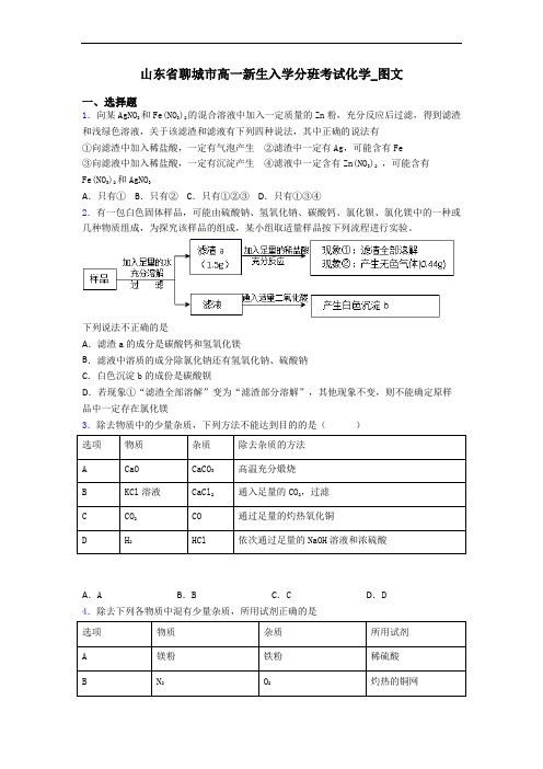 山东省聊城市高一新生入学分班考试化学_图文