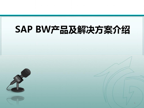 SAP BW产品及解决方案介绍