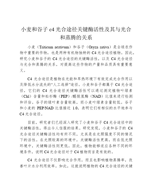 小麦和谷子c4光合途径关键酶活性及其与光合和蒸腾的关系