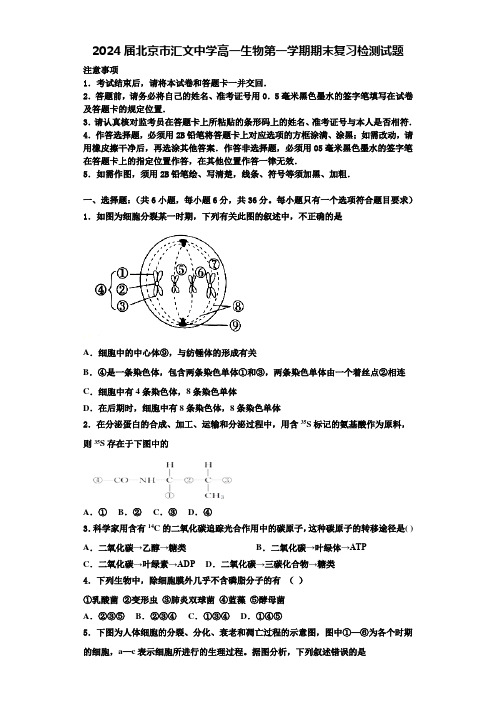 2024届北京市汇文中学高一生物第一学期期末复习检测试题含解析