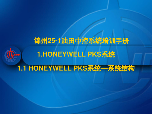 1.1 HONEYWELL PKS系统—系统结构