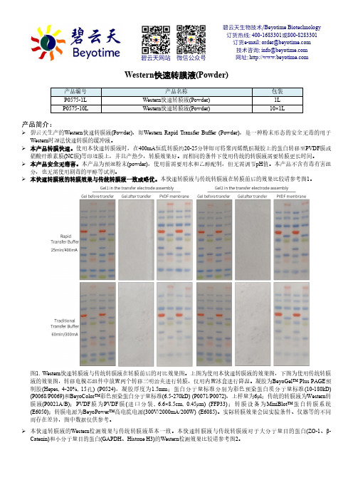 Western快速转膜液(Powder)说明书