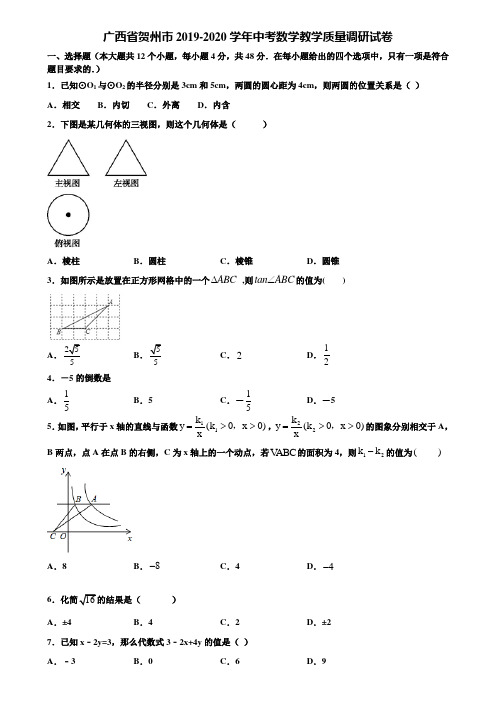 广西省贺州市2019-2020学年中考数学教学质量调研试卷含解析