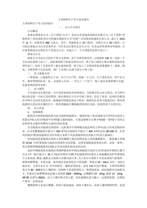 玉米制种生产实习总结报告