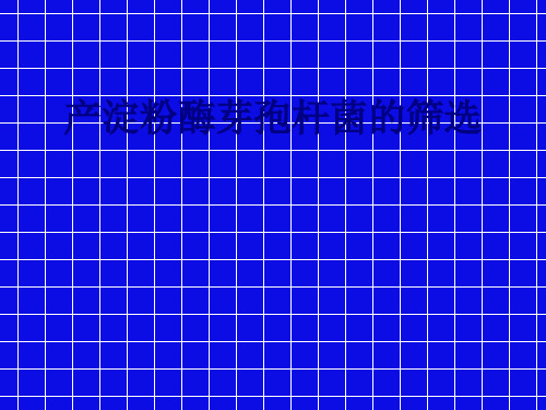 医学产淀粉酶芽孢杆菌的筛选专题课件