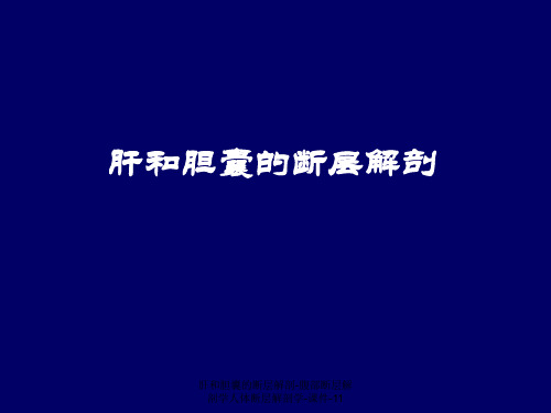 肝和胆囊的断层解剖-腹部断层解剖学人体断层解剖学-课件-11