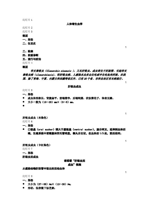 寄生虫02华支睾吸虫(肝吸虫)