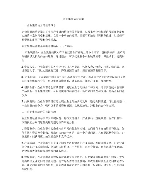 企业集群运营方案