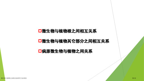 微生物与植物之间的关系研究专家讲座