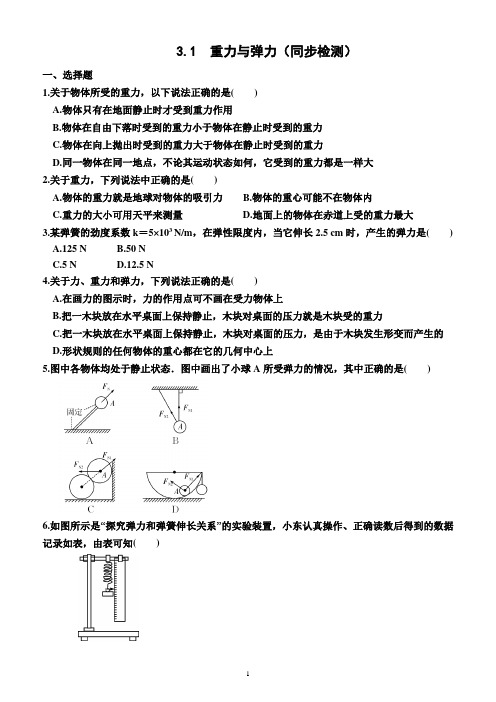 3.1  重力与弹力(同步检测)(附答案)—2023-2024学年高一上学期物理必修第一册