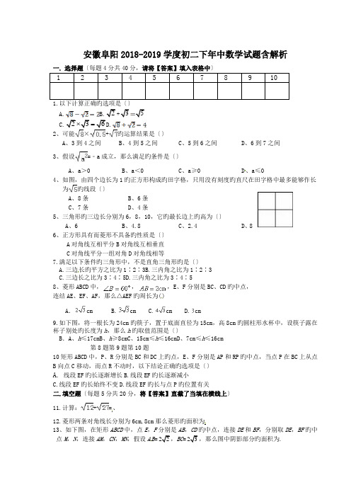 安徽阜阳2018-2019学度初二下年中数学试题含解析