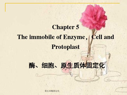 第五章酶固定化