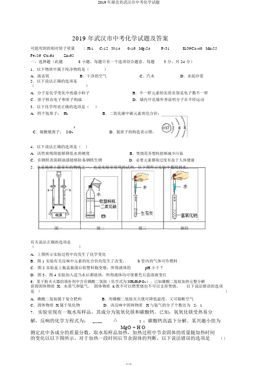 2019年湖北省武汉市中考化学试题