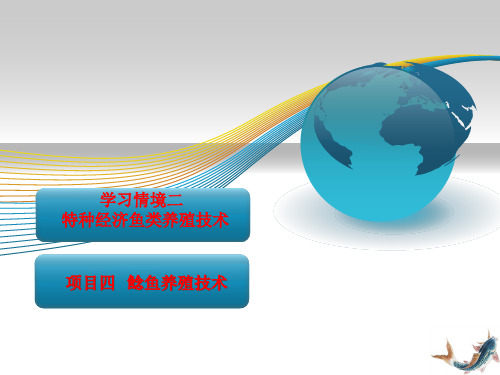 特种经济鱼类养殖技术—鲶鱼养殖技术