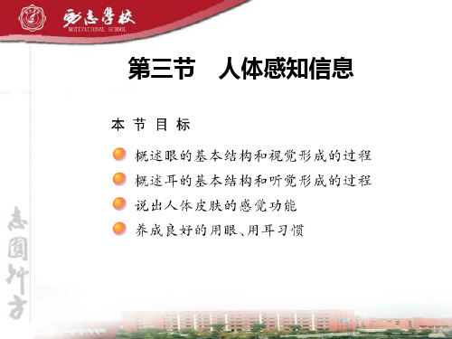 苏教版七年级下册12-3 人体感知信息课件(26张ppt)