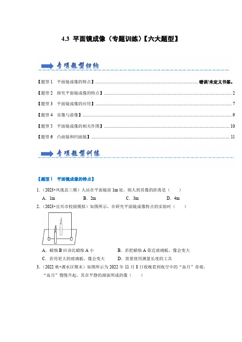 4.3 平面镜成像(专题训练)【六大题型】(学生版)