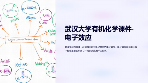 武汉大学有机化学课件-电子效应