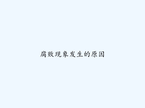 腐败现象发生的原因 PPT