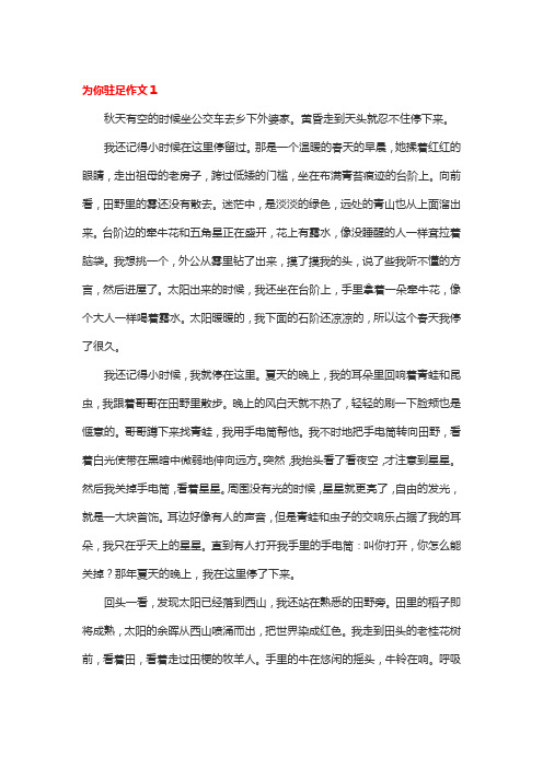 为什么驻足作文800字