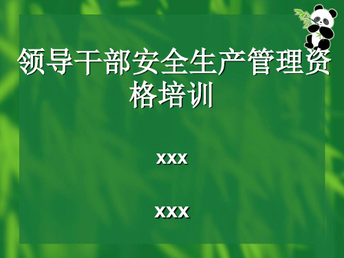 领导干部安全生产培训教材000