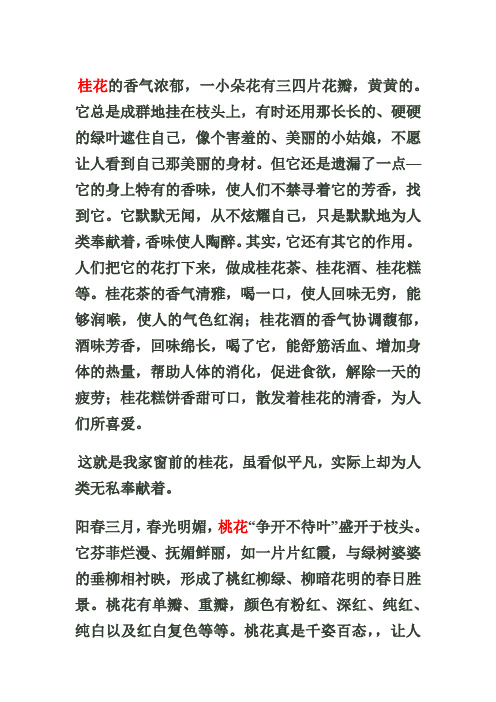 小练笔写写自己喜欢的花