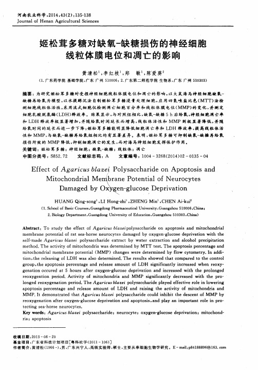 姬松茸多糖对缺氧-缺糖损伤的神经细胞线粒体膜电位和凋亡的影响