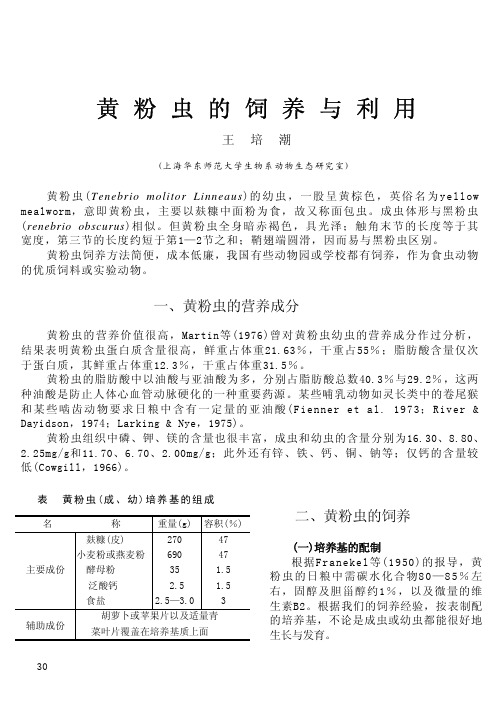 黄粉虫的饲养与利用