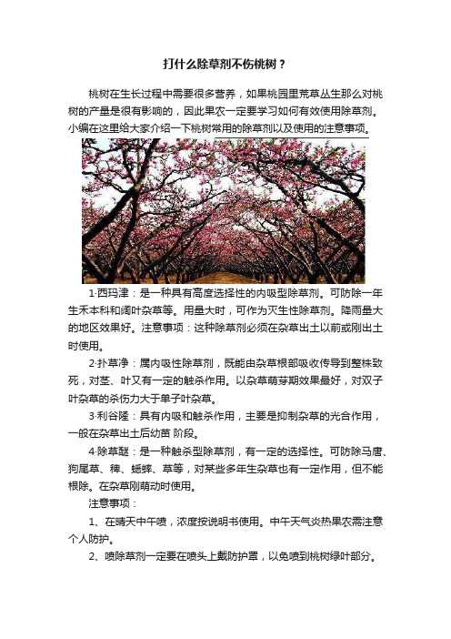 打什么除草剂不伤桃树？