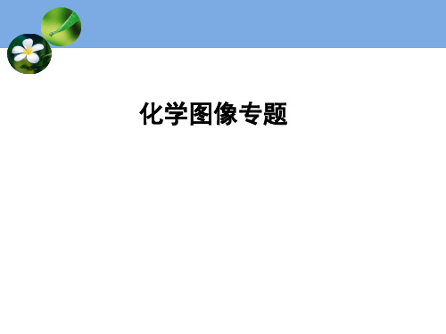 中考化学专题复习：图像专题PPT下载
