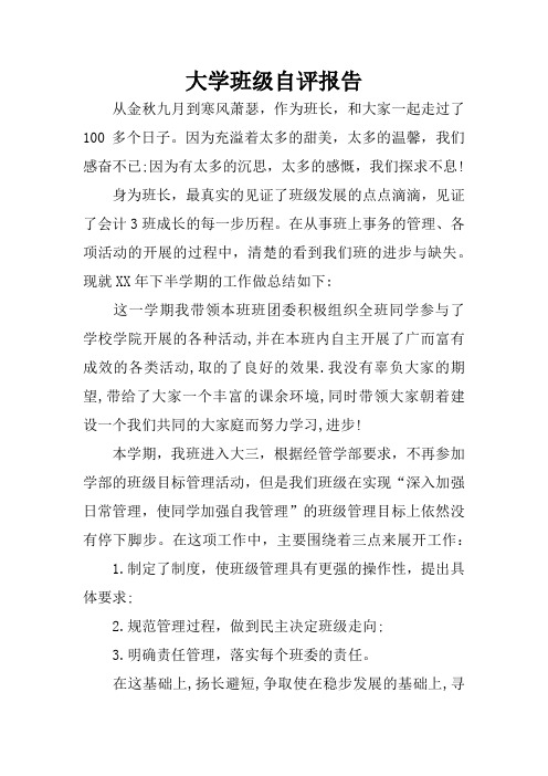 大学班级自评报告