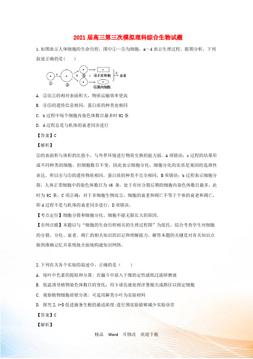 2021届高三第三次模拟理科综合生物试题