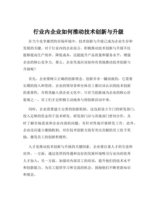 行业内企业如何推动技术创新与升级