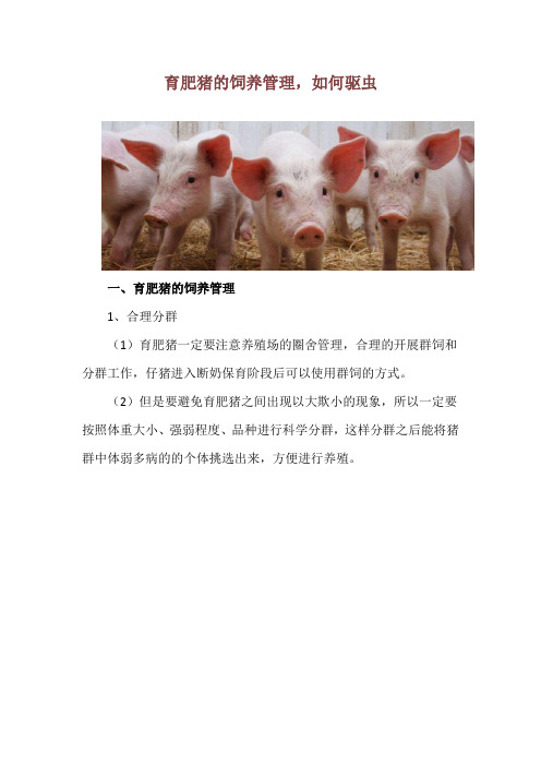 育肥猪的饲养管理,如何驱虫