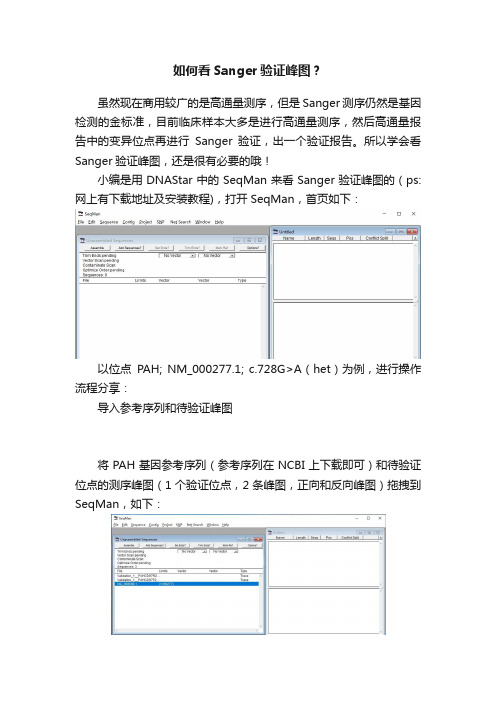 如何看Sanger验证峰图？