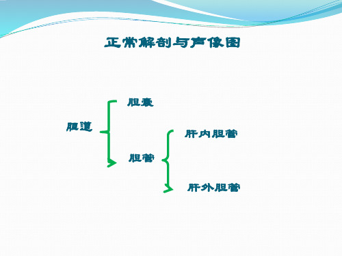 胆道疾病培训课件(1)