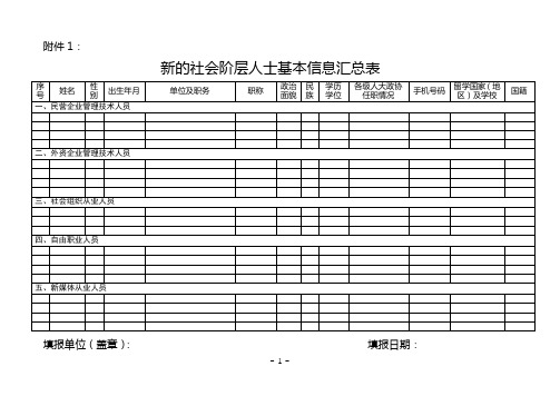 新的社会阶层人士登记表.doc