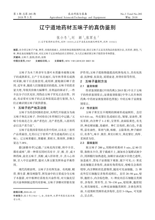辽宁道地药材五味子的真伪鉴别