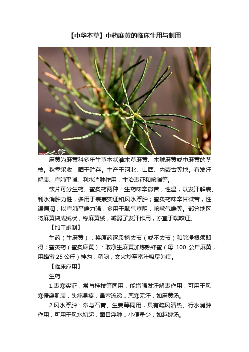 【中华本草】中药麻黄的临床生用与制用